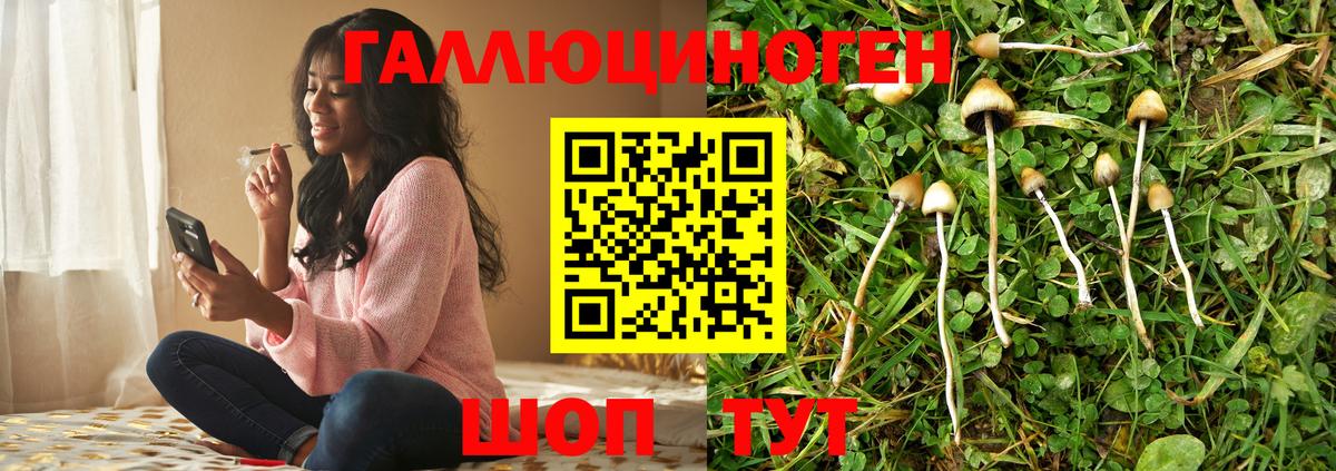 Псилоцибиновые грибы Magic Shrooms  Вход с VPN  Щёлково 